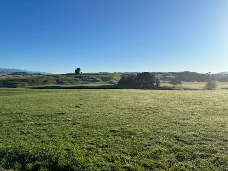 680 Cowper Road Dannevirke_5