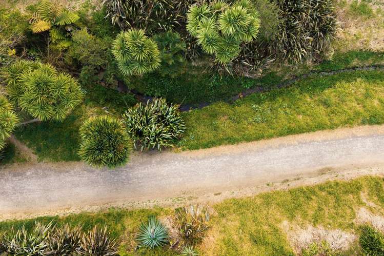 24/19 Glencarron Place Bethlehem_17