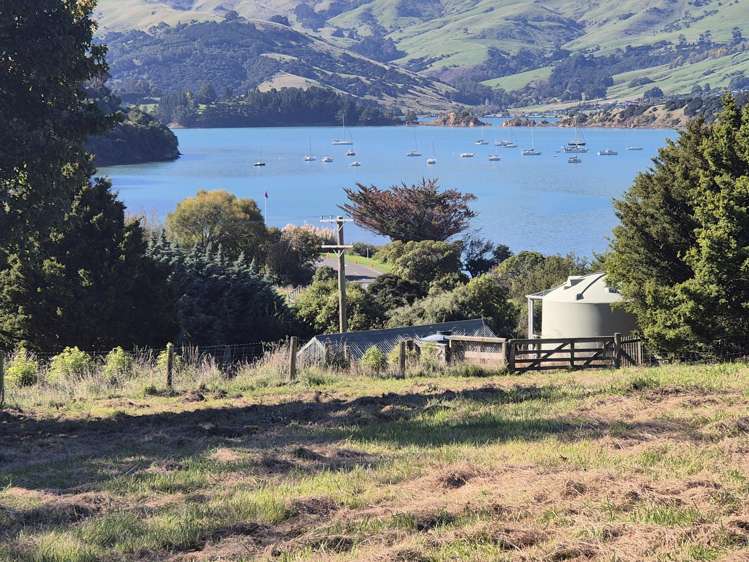 282 Wainui Main Road French Farm_9