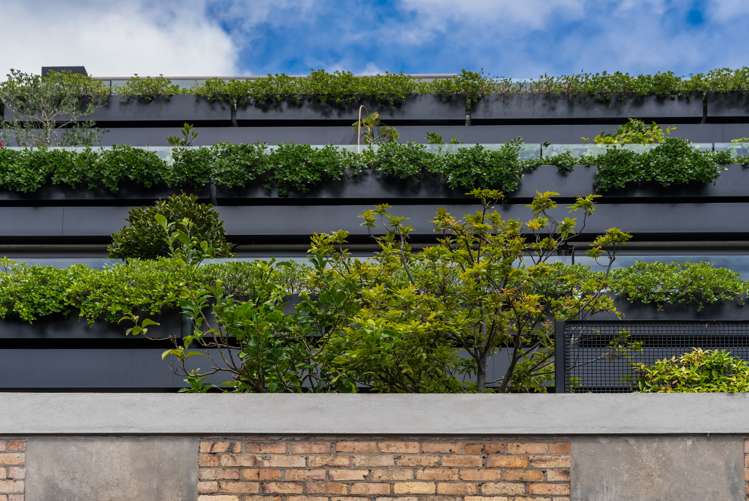 401/15b Augustus Terrace Parnell_27