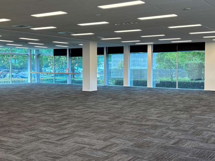 7 Show Place Addington_4