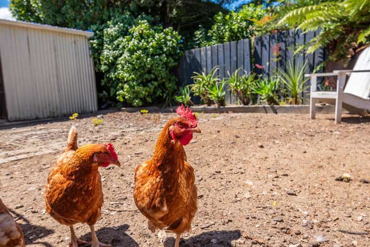 2 Bowen Street Levin_21