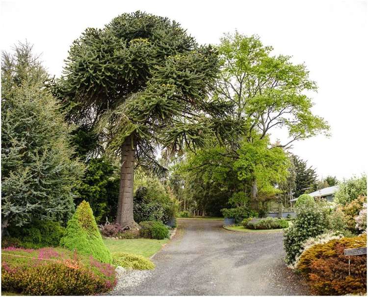 95 Romahapa Road Balclutha_5