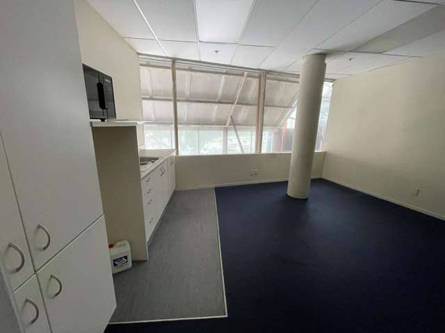 Level 1, 110 Manner Street Wellington Central_4