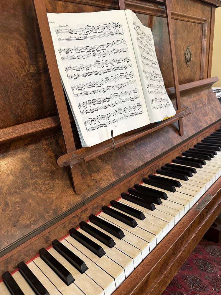 4 Jean Road Te Mata_16