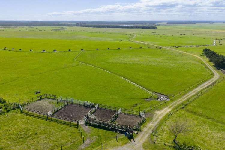 526 Lake Road Himatangi_0