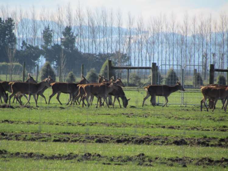 193 Winchmore School Road Winchmore_7