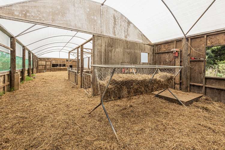 114 Hay Road Hukerenui and Surrounds_22