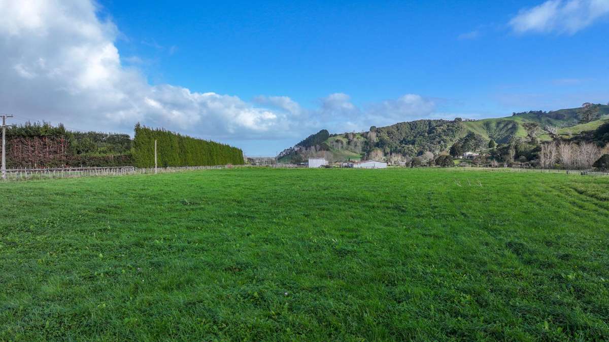 131 Puriri Valley Road_4