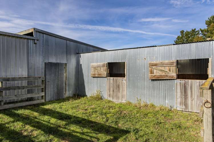 121 Wallers Road Loburn_11