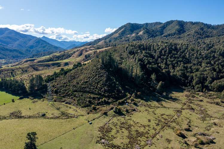 536 Matiri Valley Road Murchison_18