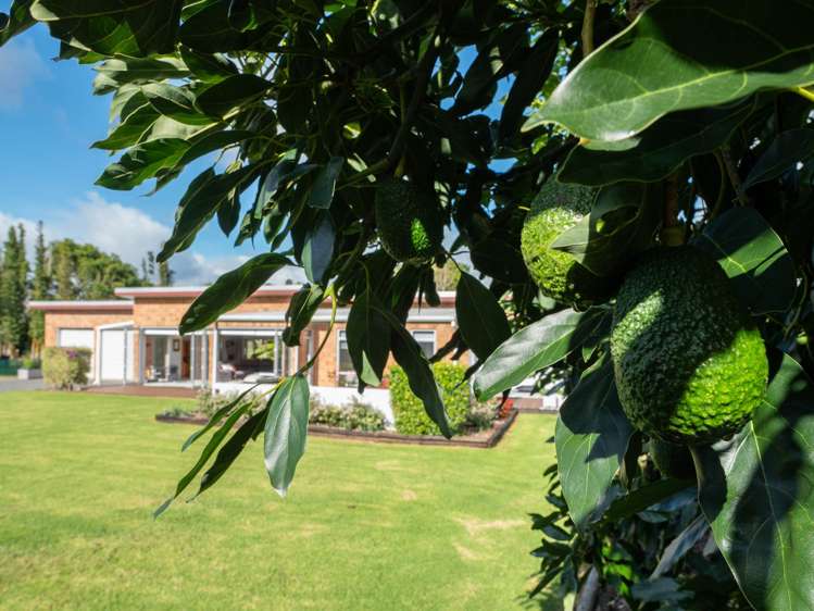 19C Riverview Road Kerikeri_21