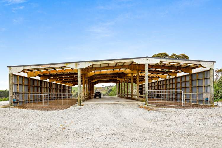 4193 Kaipara Coast Highway Wellsford_3