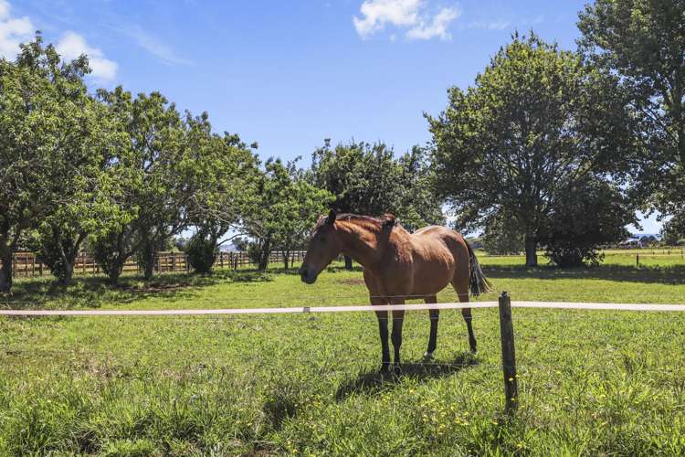 121 Morrinsville-Walton Road Morrinsville_25