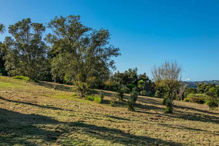 1 Buckleys Track Paremoremo_11