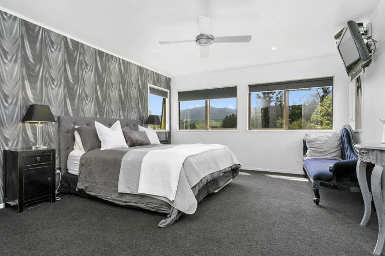 3786 State Highway 29 Te Poi_11