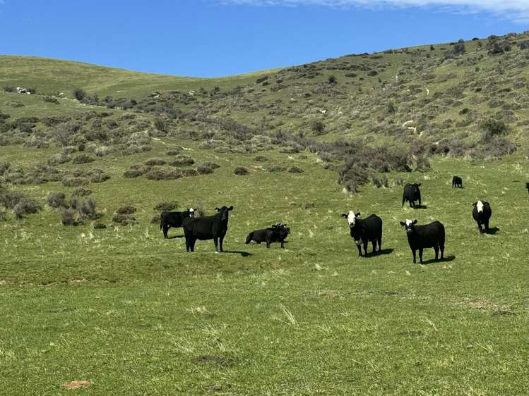 387 Kyeburn-Hyde Road Kyeburn_14