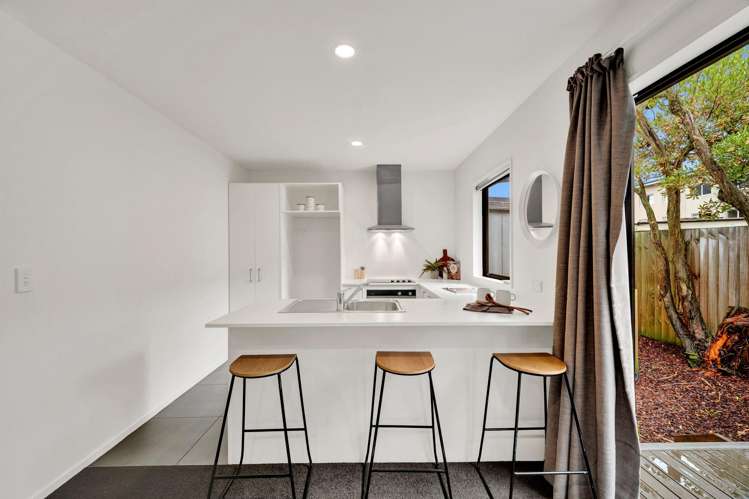 19 League Lane Phillipstown_7