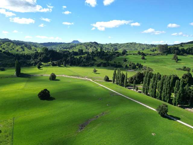 66 Kirtons Road Taumarunui_3