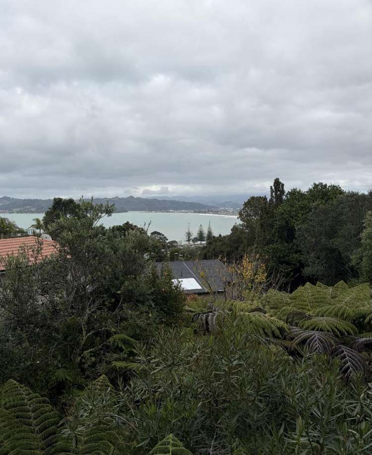 58 Centennial Drive Whitianga_33