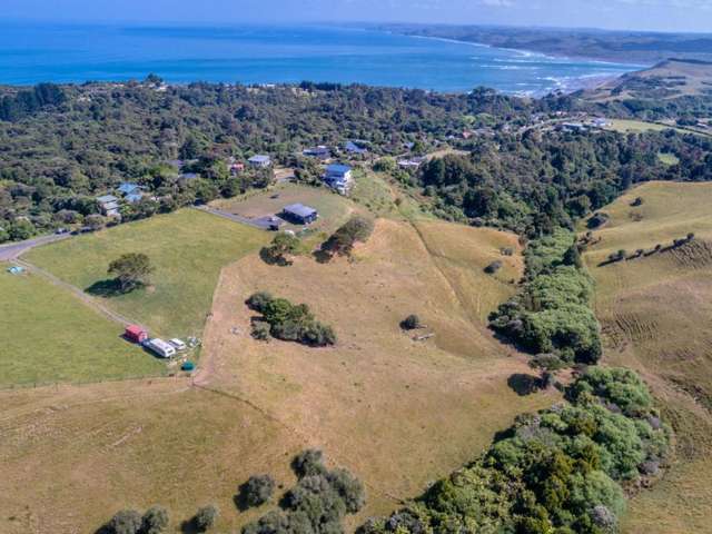 97 Upper Wainui Road Raglan_1