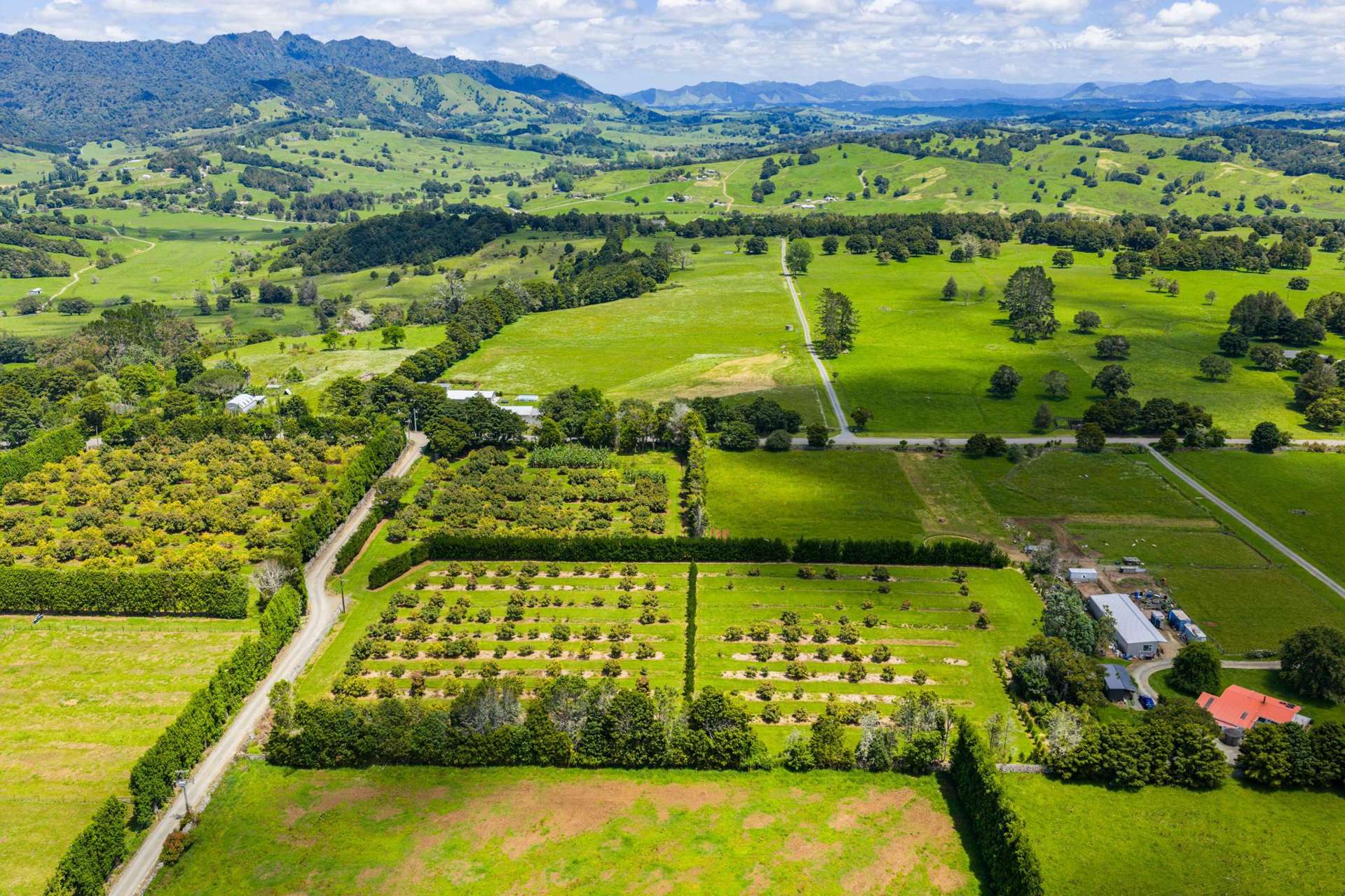 146 Bint Road Maungakaramea_0