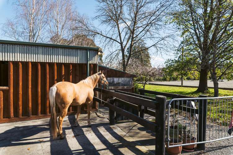 189 Carrs Road Loburn_7