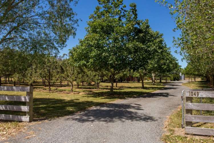 1049 Two Chain Road Swannanoa_20