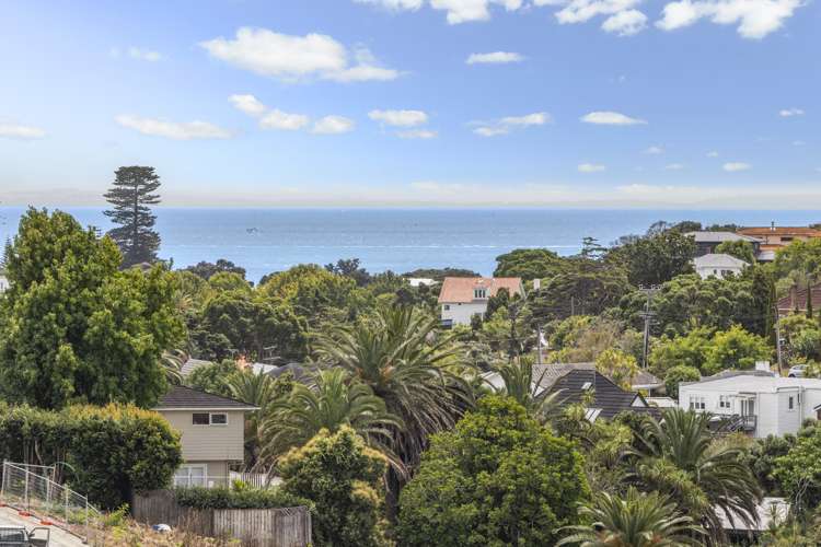 35 Palmer Crescent Mission Bay_28