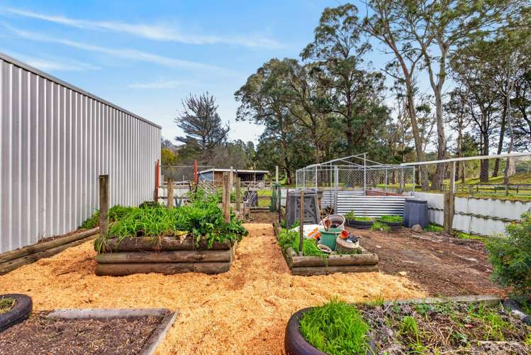 992 Dartmoor Road Puketapu_21