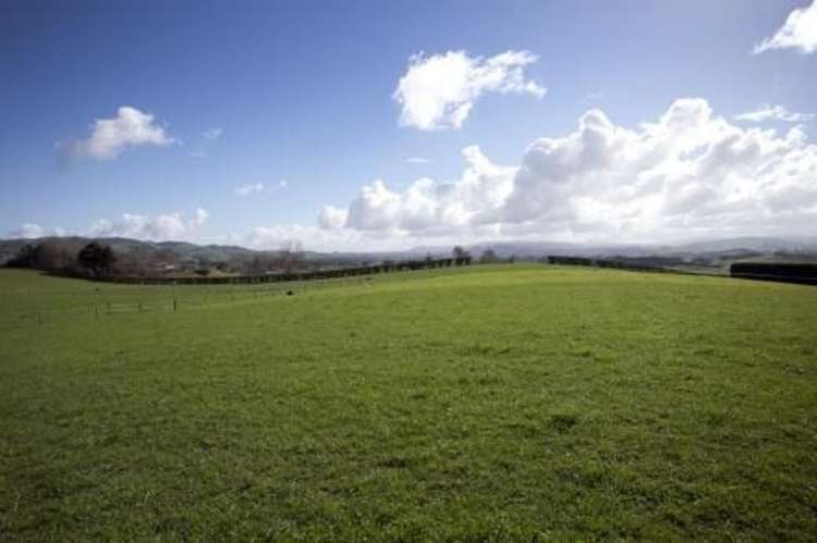 227 Hicks Road Cambridge_17