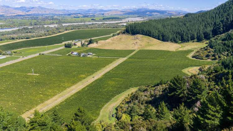 1224 Kaituna-Tuamarina Road Kaituna_24