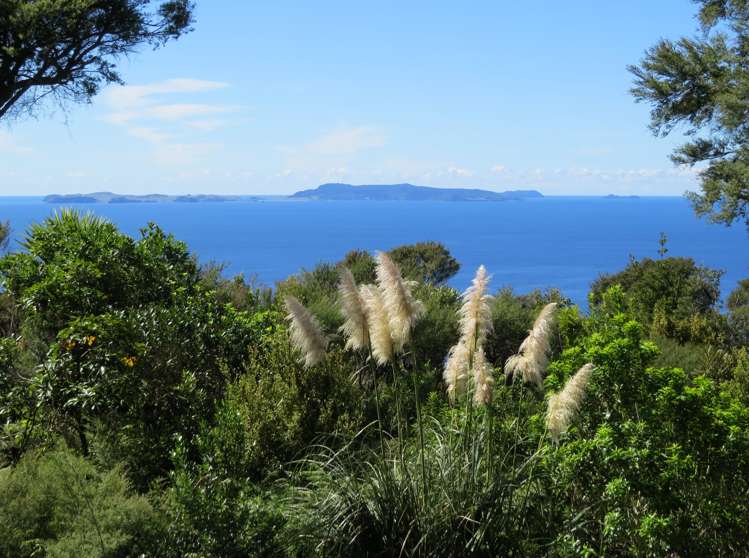 537d Tuateawa Road Tuateawa_1