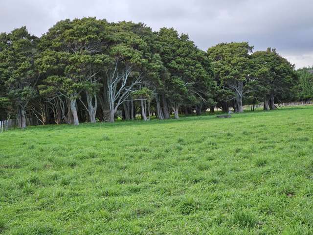 Lot 2 Catherines Lane Otaki_1