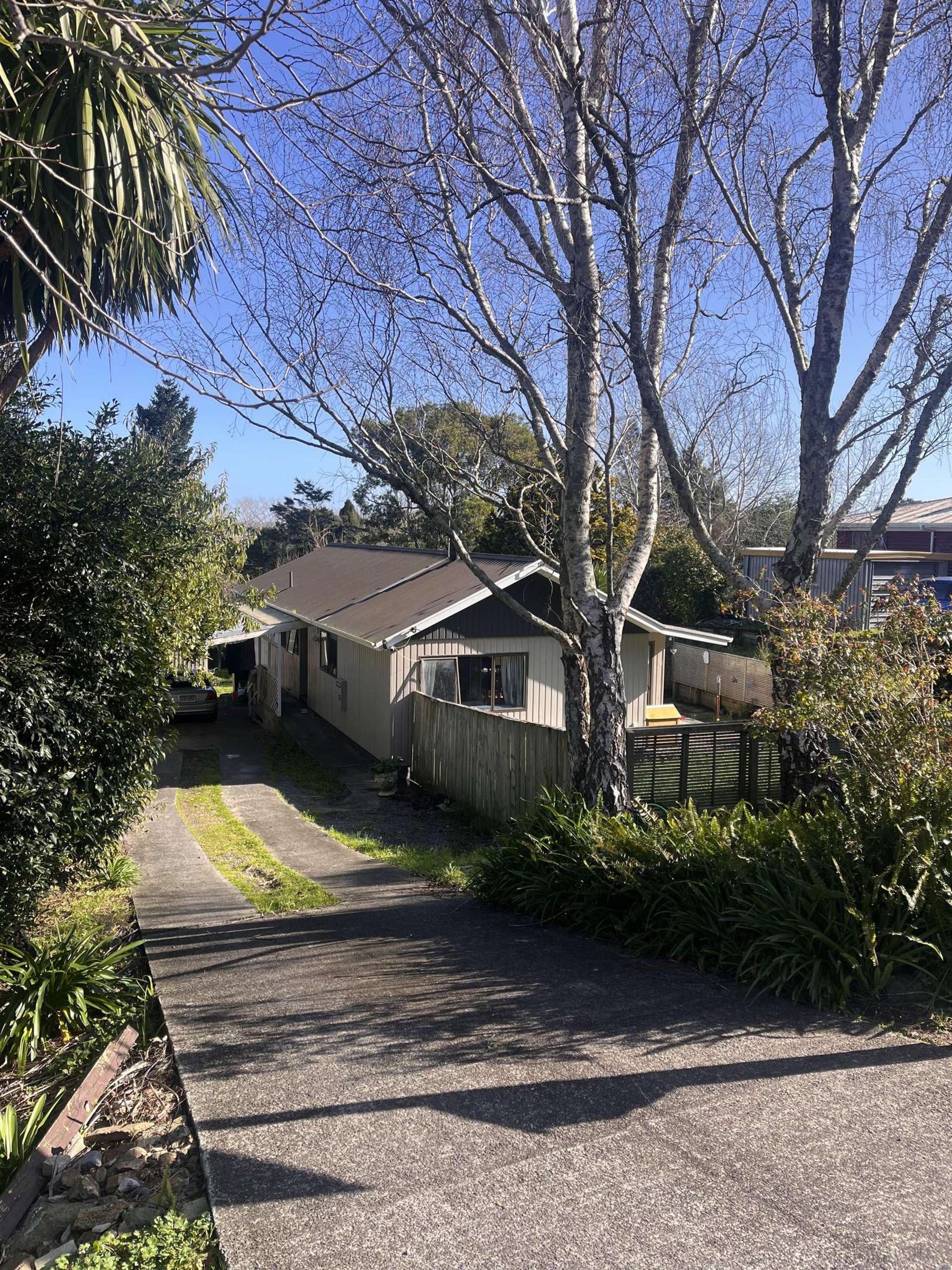 15 King Street Te Aroha_0