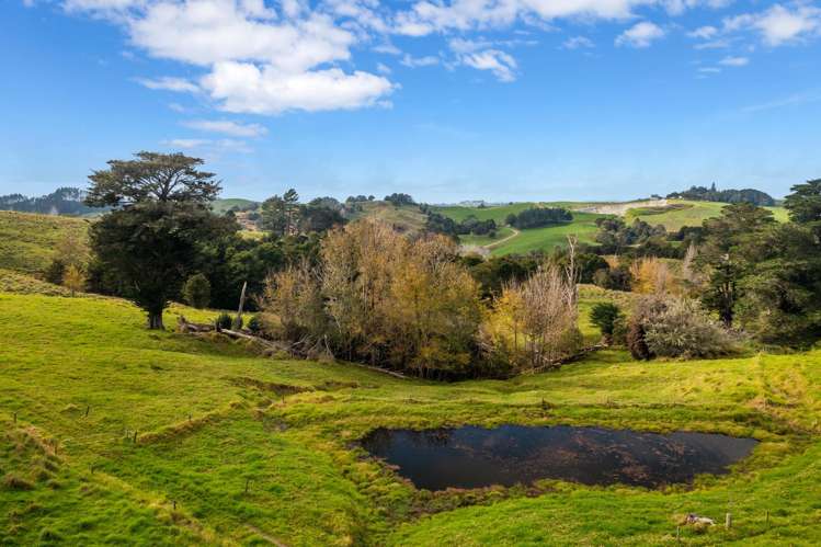 70 Biddle Road Wellsford_24