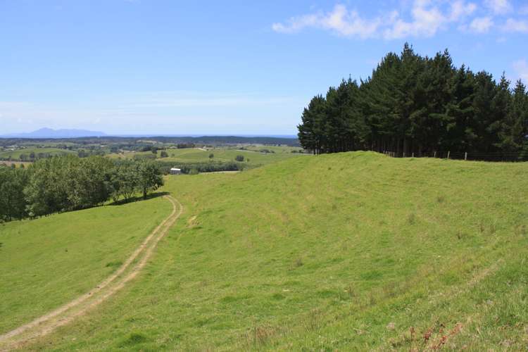 171 Te Arai Point Road Te Arai_14