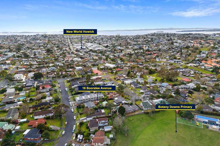 18 Booralee Avenue Botany Downs_6