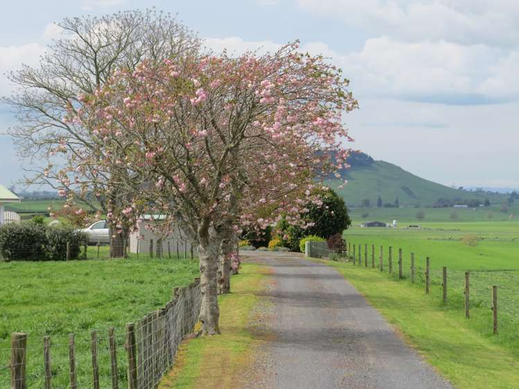52 Burr Road Otorohanga_16