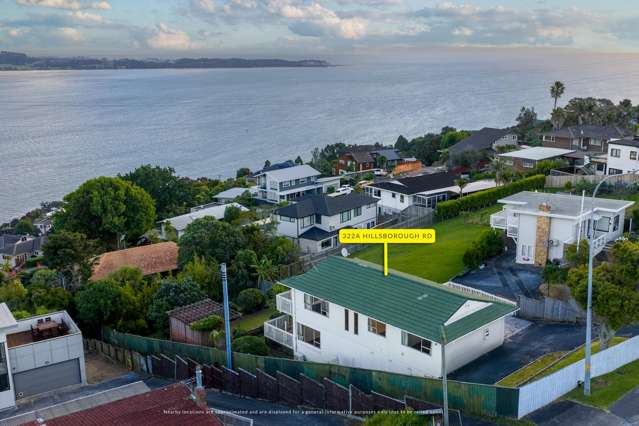 322A Hillsborough Road Mount Roskill_1