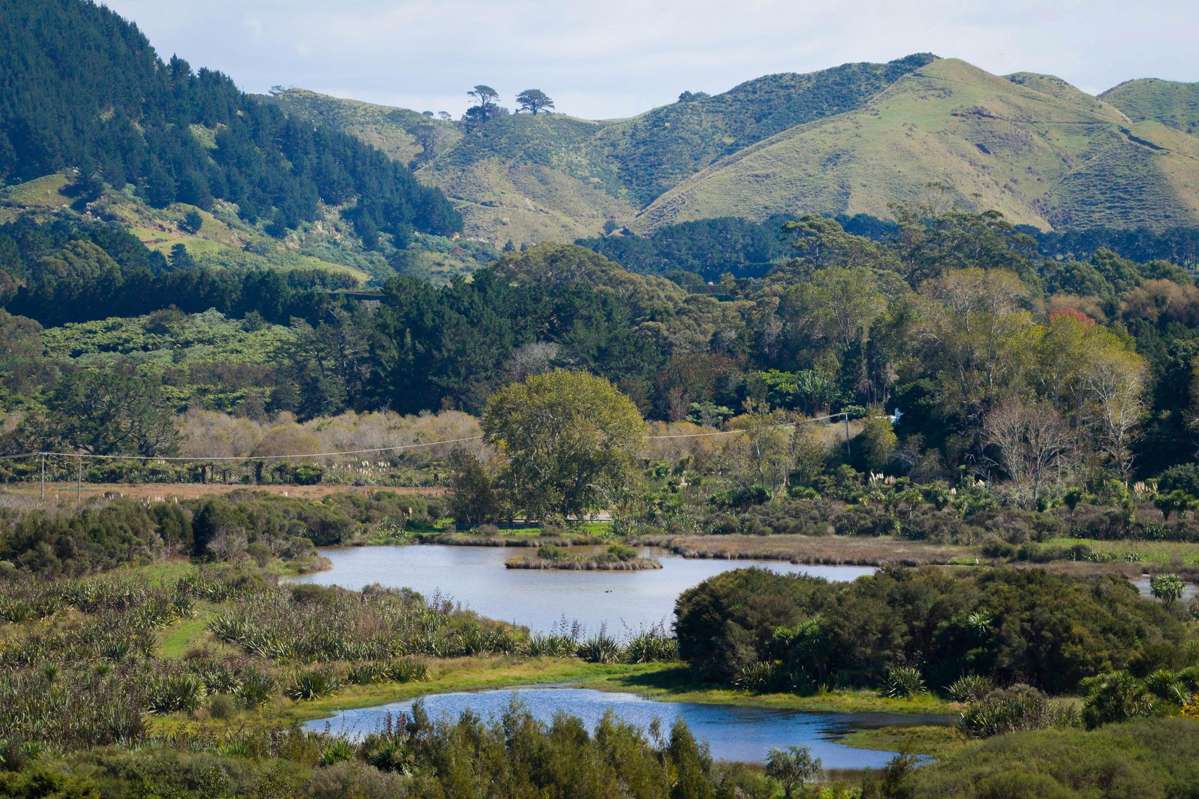 97 Koutunui Road_0