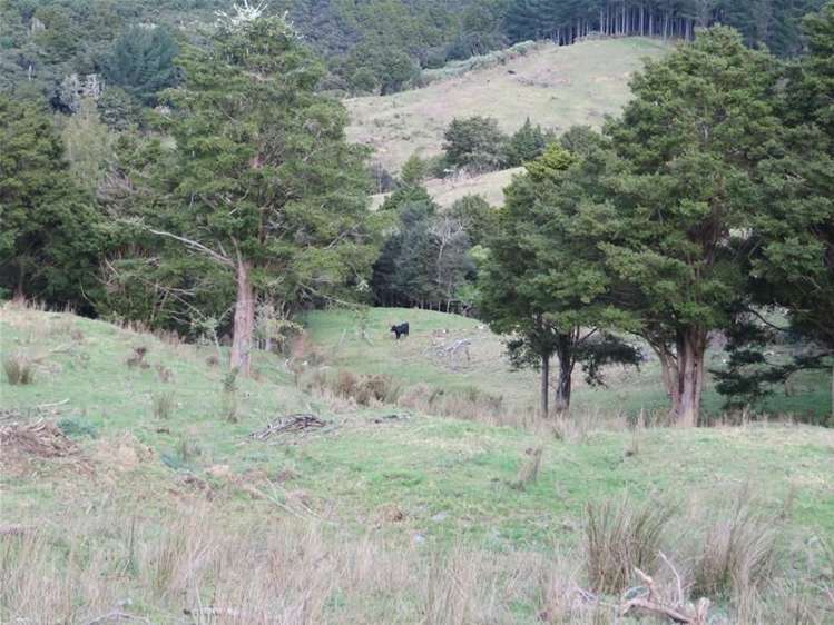 565 Bickerstaffe Road Maungaturoto_7