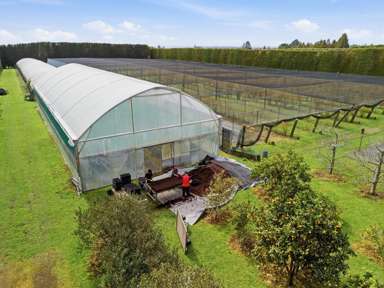 1040 Te Matai Road_2