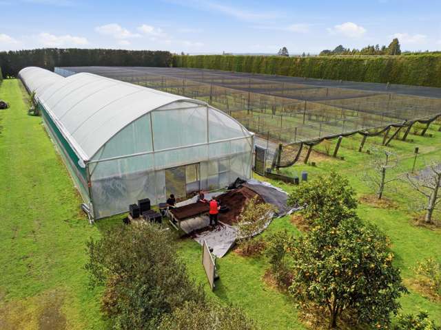 1040 Te Matai Road Te Puke_3