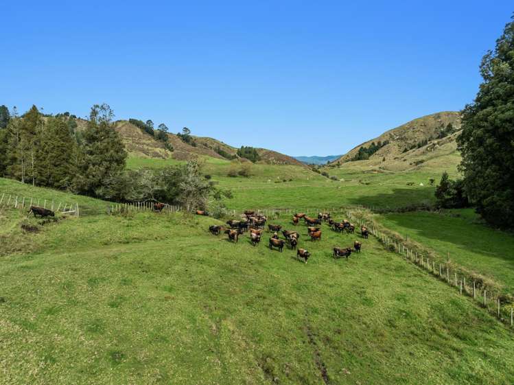 179 and 216 Rankin Road Waiotahe_20