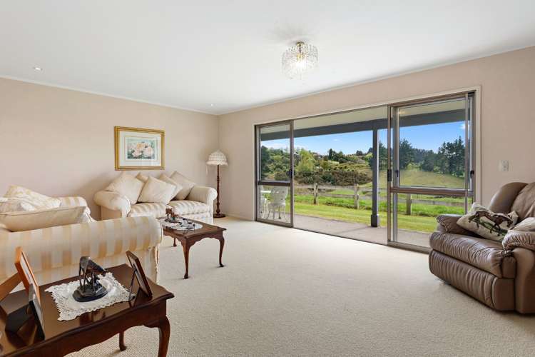 Old Highway Whakamarama_3