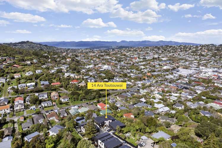 14 Ara Toutouwai Karori_17