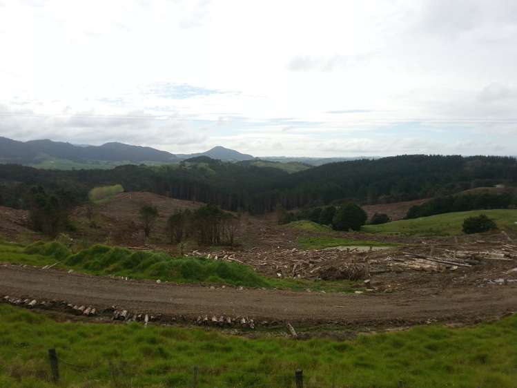 Bickerstaffe Road Maungaturoto_2