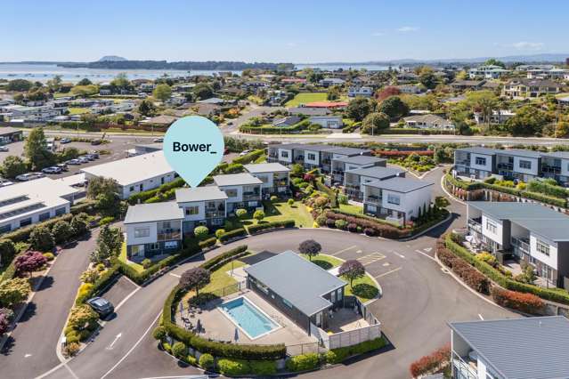 66 Tory Way Omokoroa_3