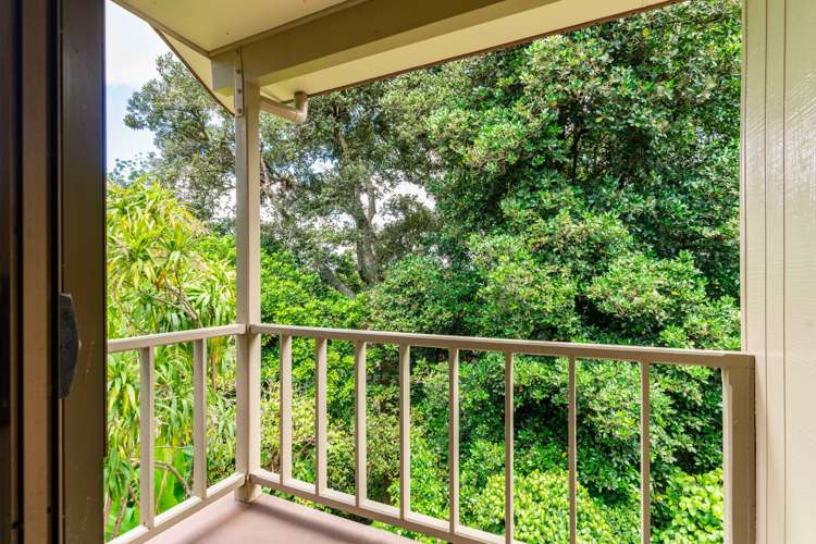 70 Puriri Park Road Maunu_19